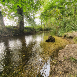 loddon-182844_51400082415_o