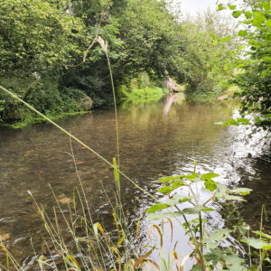 river-loddon-near-to-piggy-dam-and-lower-mill_51400083550_o