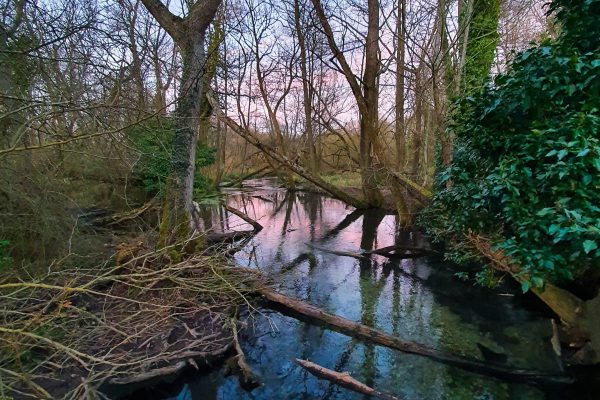 51400083825_3888cff04e_o (1)