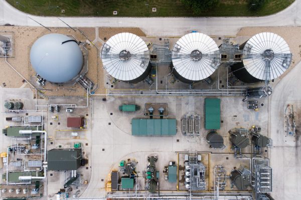 51413915972_8eee157a66_o