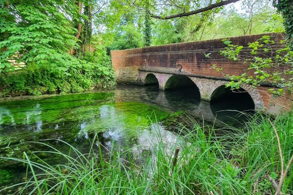 52084401578_3d60c9ac19_o