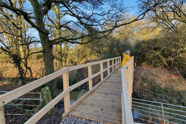 52629348850_7bd35bd001_o