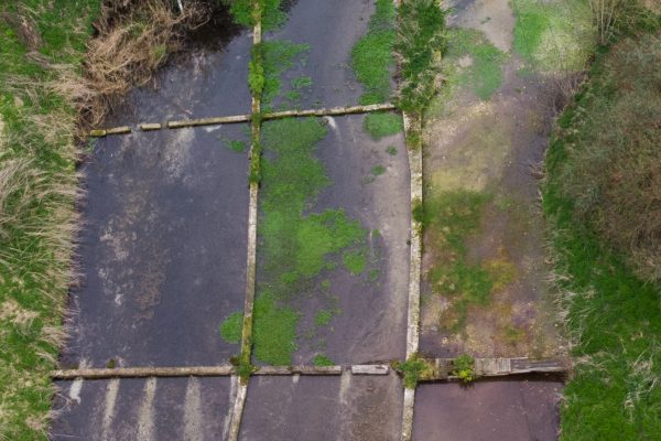 52795648991_636d4bb2ae_o