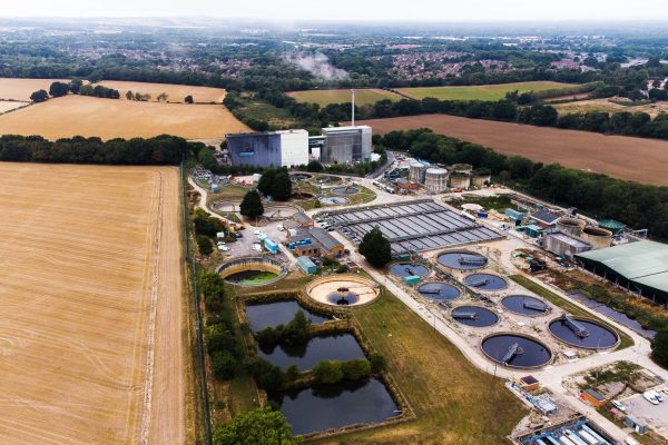 53169070481_d39b14f05a_o