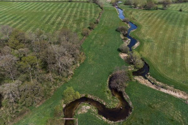 53169562468_89afcf5616_o